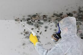  Taylor Mill, KY Mold Removal Services Pros